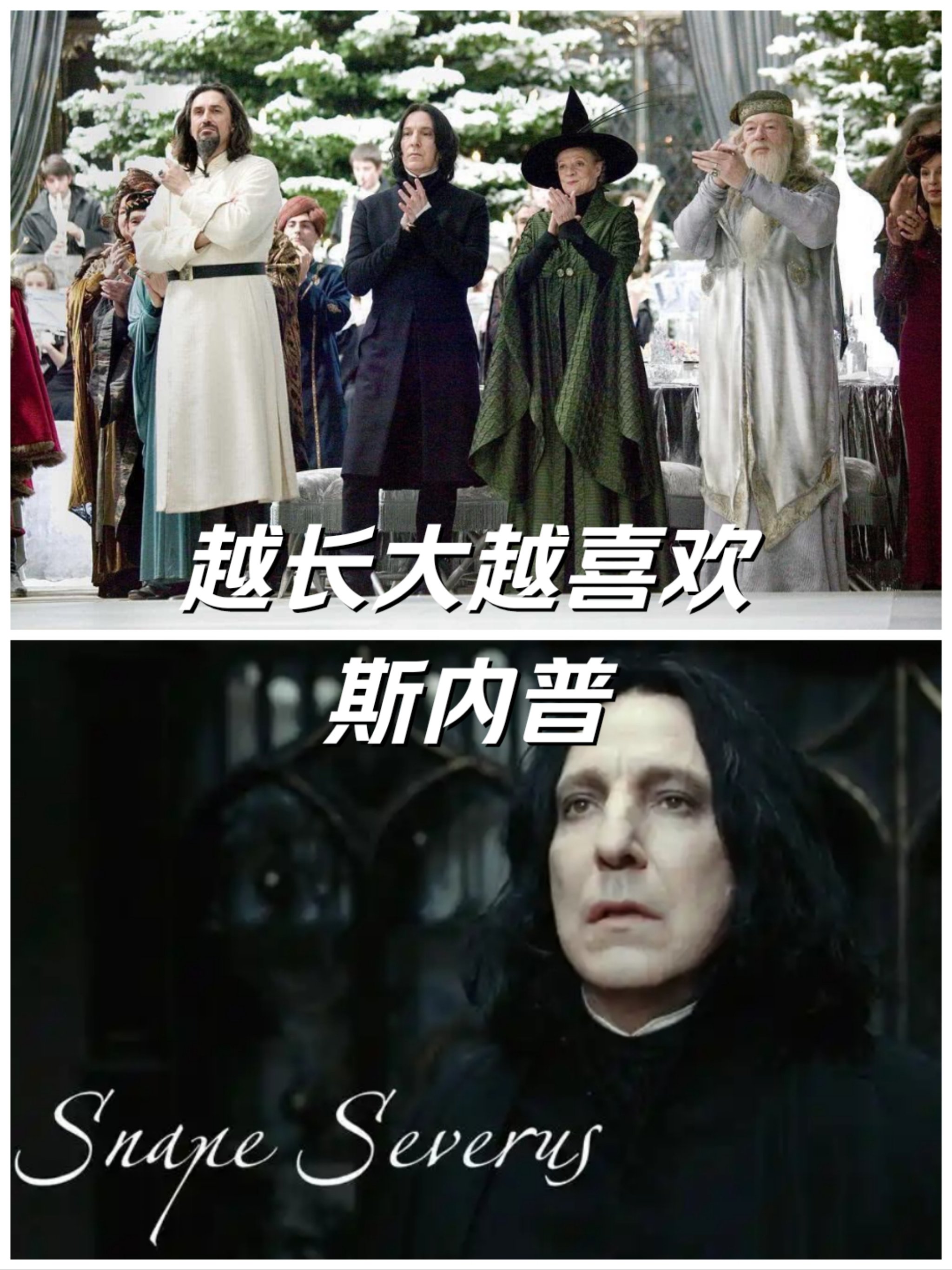 hp斯内普怀孕了