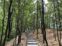 -火炉山森林公园