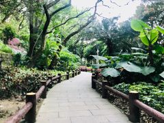 -船政文化景区-罗星塔公园