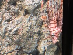 -福州罗源湾海洋世界旅游区