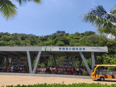-野狸岛
