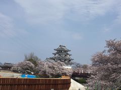 -名古屋城