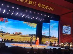 -刘老根大舞台-长春旗舰店