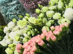-亭亭鲜花店(中山北路店)