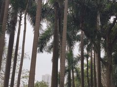 -南宁南湖公园