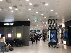 -米兰马尔彭萨国际机场