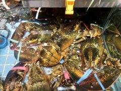 -79号渔船海鲜饭店(宝安店)