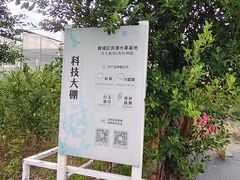 -长洲岛都市农业公园