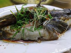 -阿古海鲜大排档(青澳湾自然之门六年好店)