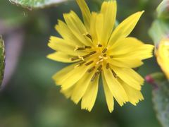 -苏州河梦清园环保主题公园