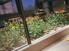 -黄山老妈·土菜(碧桂园店)