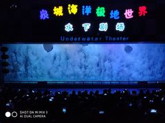 -泉城欧乐堡海洋极地世界