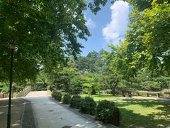 -庐山风景区花径公园