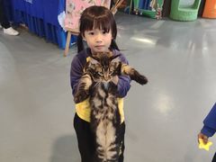 -顺德南宏海立方海洋公园