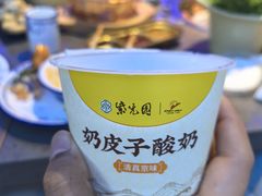 -紫光园(燕郊总店)