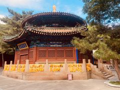 -潭柘寺景区