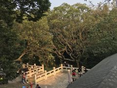 -穹窿山景区