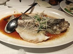 清蒸鲈鱼-汤城小厨•粤菜•靓汤(金融街店)