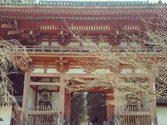 -醍醐寺