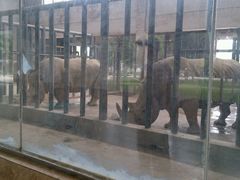 android_upload_pic-石家庄市动物园