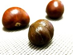 -二斗栗子(西湖道店)