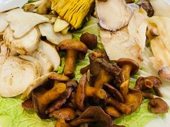 -名善山珍·野生菌汤锅(文殊院店)