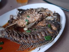 -柠静私家菜(石板巷店)