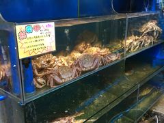 水产区-蚝专家(北滘店)