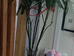 -爱脊康新中式推拿(江汉路步行街店)