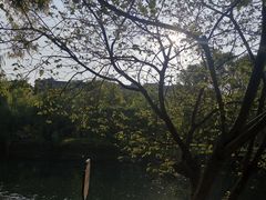 -贵阳市花溪国家城市湿地公园