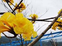 -瓷天下海丝谷
