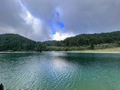 -武陵山森林公园