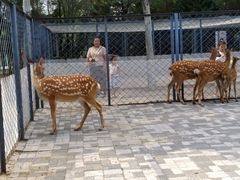 -长白岛森林公园