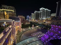 -澳门威尼斯人综合度假区