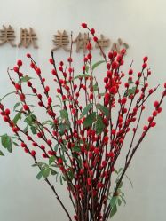 -佳妍惠美科技美肤美体中心