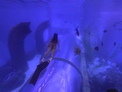 -波塞冬旅游度假区