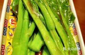 Braised Bok Choy with Oyster Sauce