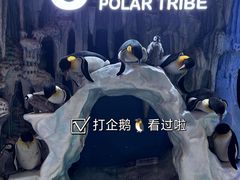 -正佳极地海洋世界