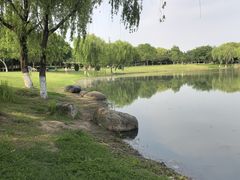 -贡湖湾湿地公园
