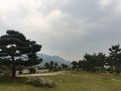 -炎帝陵景区