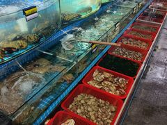 -望海潮海鲜店 特色家常菜(在海一方店)