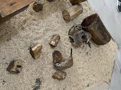 -海合安武汉极地海洋公园