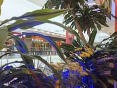 -杉杉奥特莱斯广场(哈尔滨店)