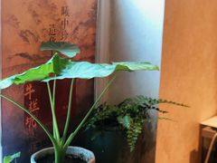 -畅和茶坊·曦瓜中国大红袍