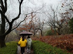 -天目湖涵田半山温泉水乐园