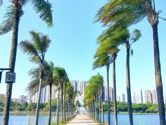 -南宁南湖公园