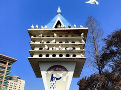 -泉城广场