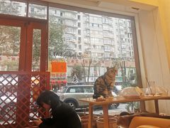 -猫友咖啡店(玉林西路店)