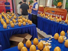 -红星美凯龙(浦江店)