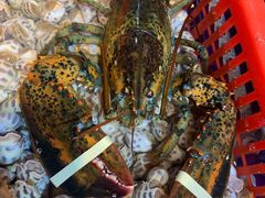 -79号渔船海鲜饭店(华强北店)